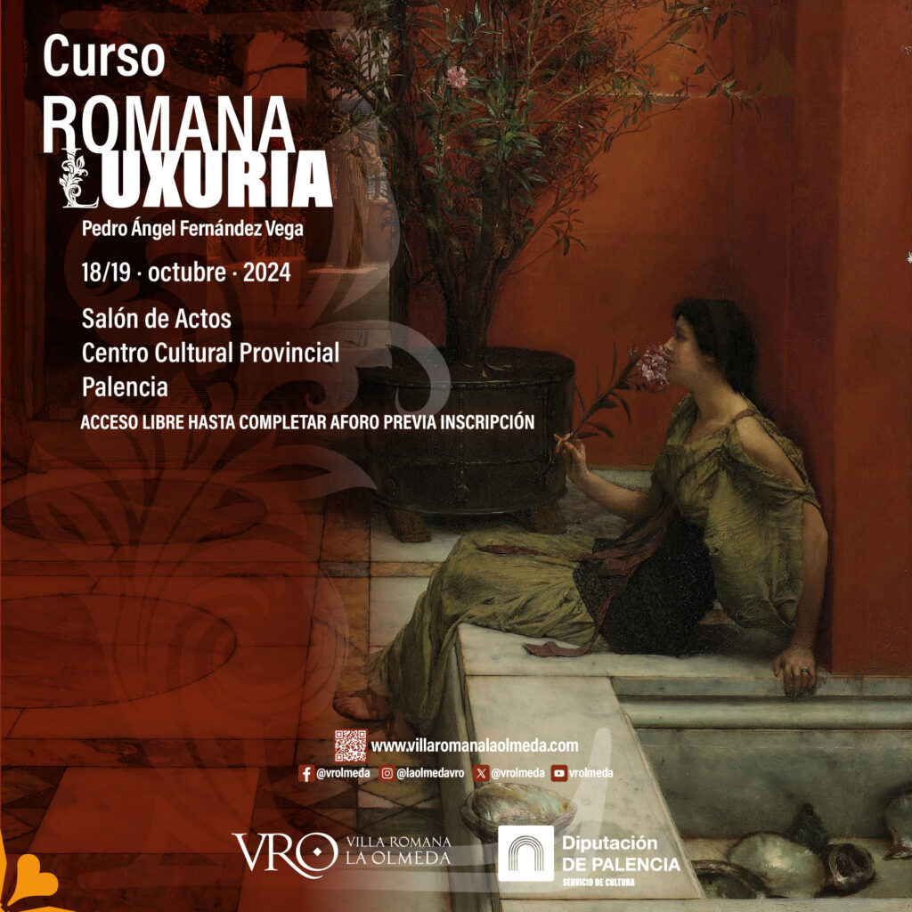 Romana Luxuria Villa Romana La Olmenda Diputación de Palencia